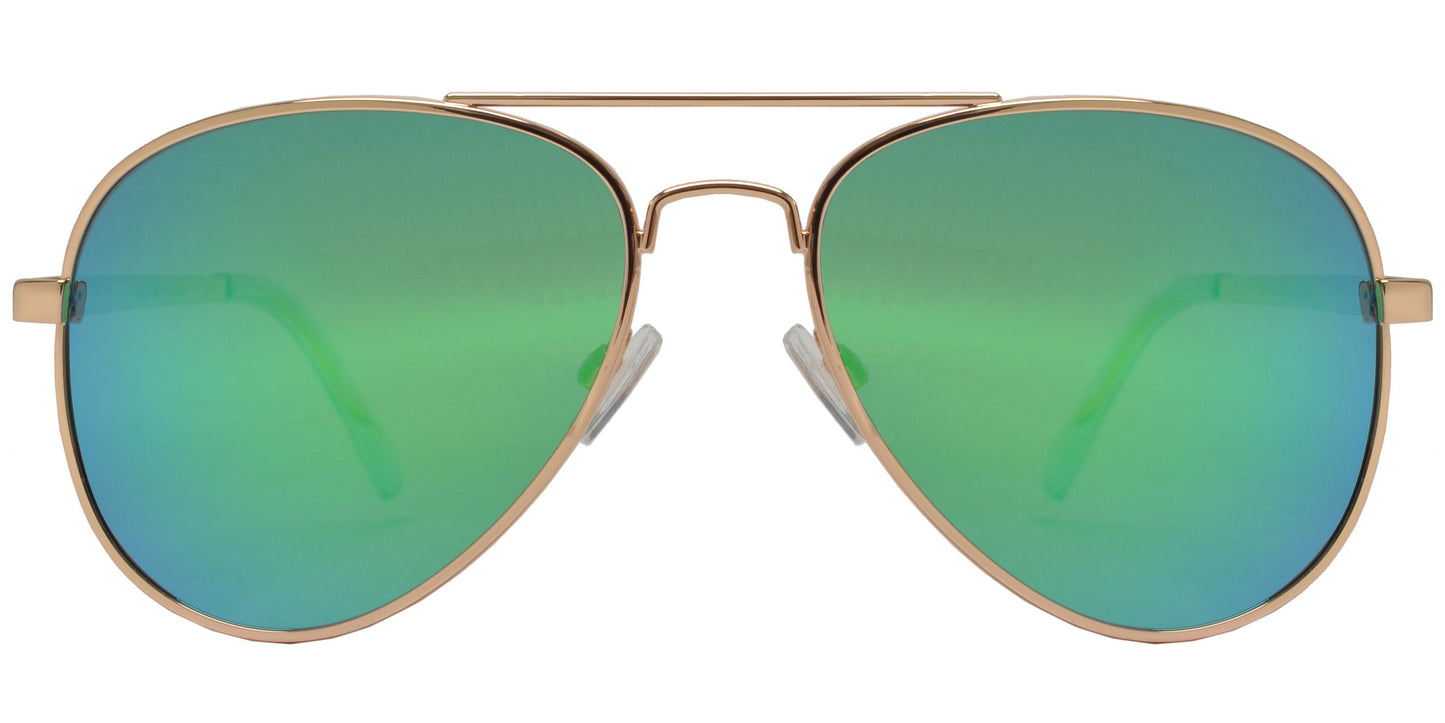 PL 3953 - 1.1 MM Polarized Classic Oval Shaped Sunglasses