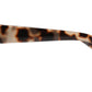 FC 5811 - Plastic Small Cat Eye Sunglasses