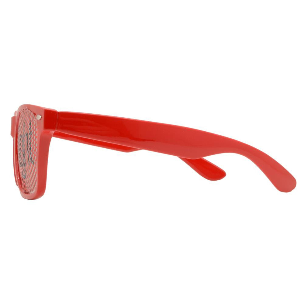 Wholesale - 8455 - Classic Horn Rimmed Novelty 'Ladies Night' Plastic Sunglasses - Dynasol Eyewear