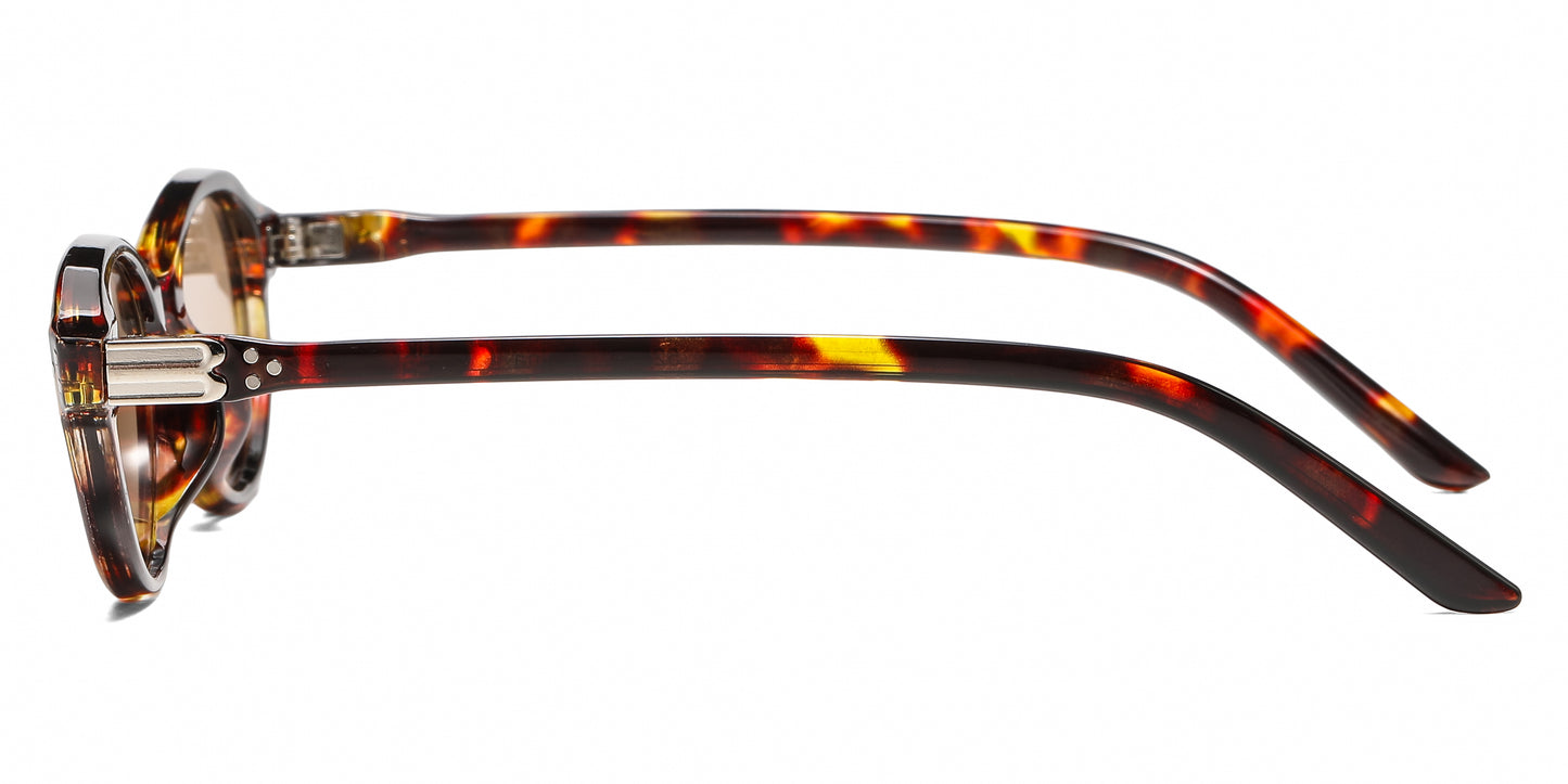 5288 - Classic Small Vintage Oval Plastic Sunglasses