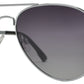 PL 3953 - 1.1 MM Polarized Classic Oval Shaped Sunglasses