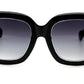 FC 5837 - Classic Butterfly Plastic Sunglasses