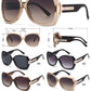 FC 5849 - Modern Plastic Butterfly Women Sunglasses