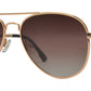 PL 3953 - 1.1 MM Polarized Classic Oval Shaped Sunglasses
